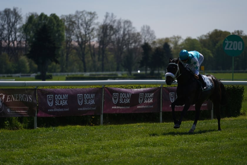 Majówka na Partynicach 2023