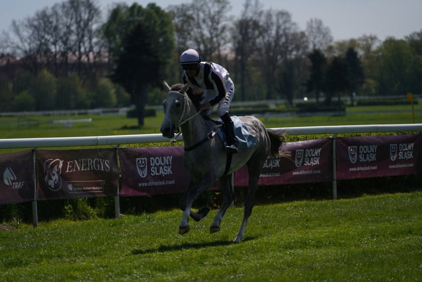 Majówka na Partynicach 2023