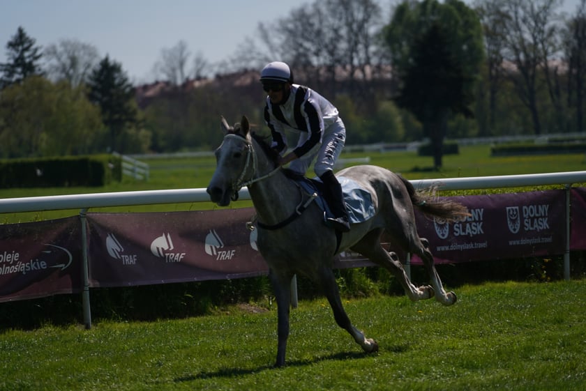 Majówka na Partynicach 2023