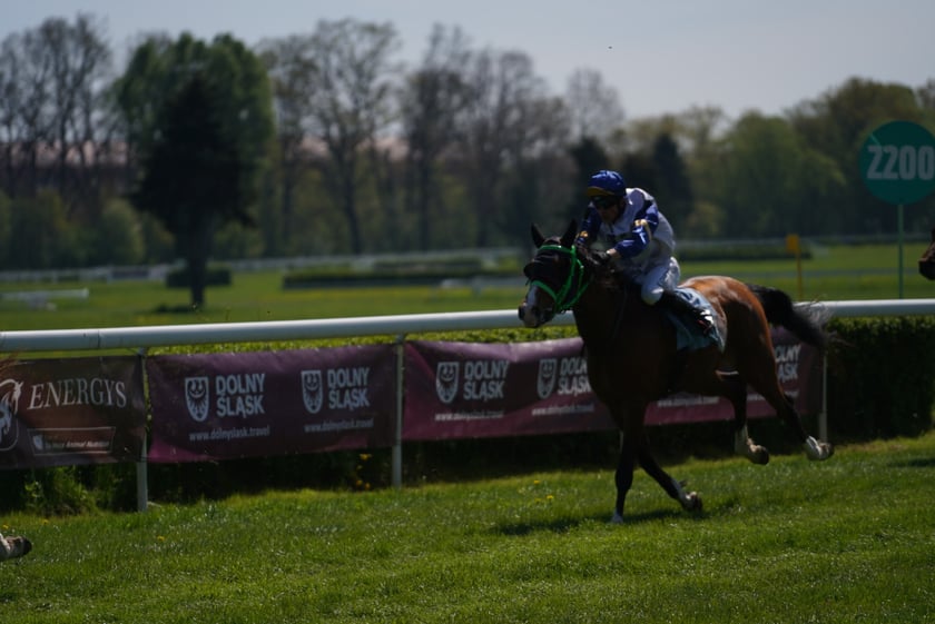 Majówka na Partynicach 2023