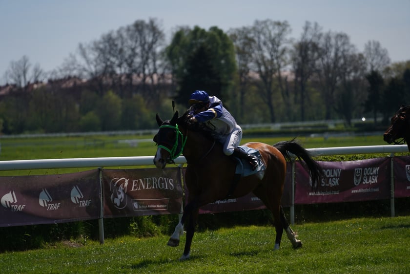 Majówka na Partynicach 2023