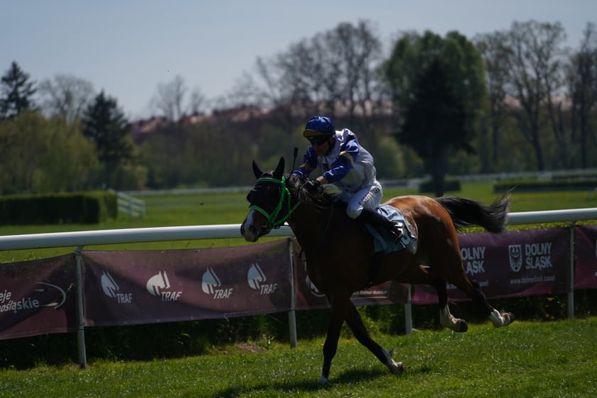 Majówka na Partynicach 2023