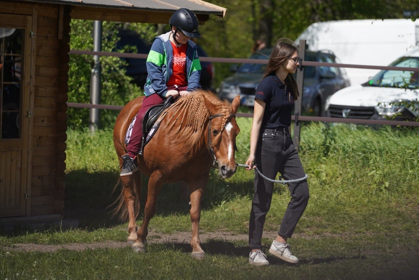 Majówka na Partynicach 2023