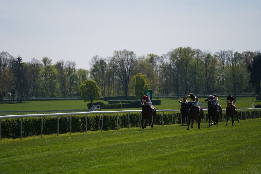 Majówka na Partynicach 2023