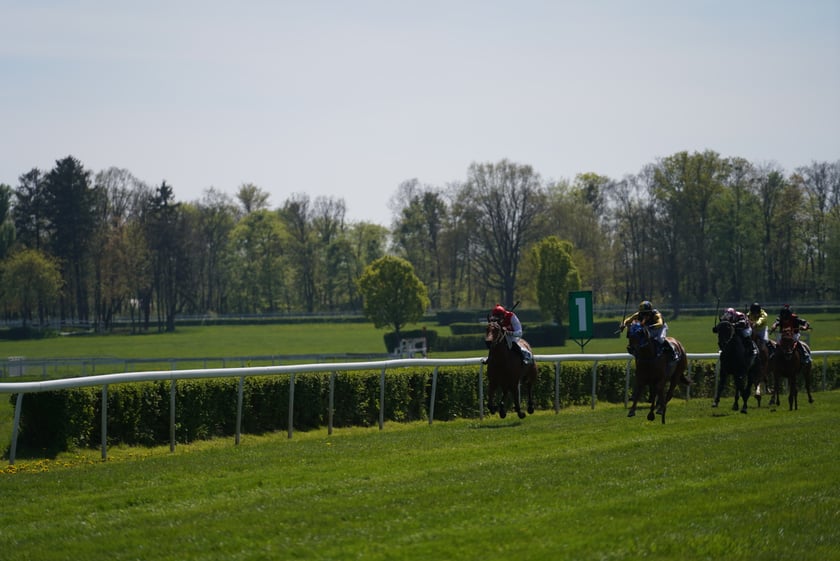 Majówka na Partynicach 2023