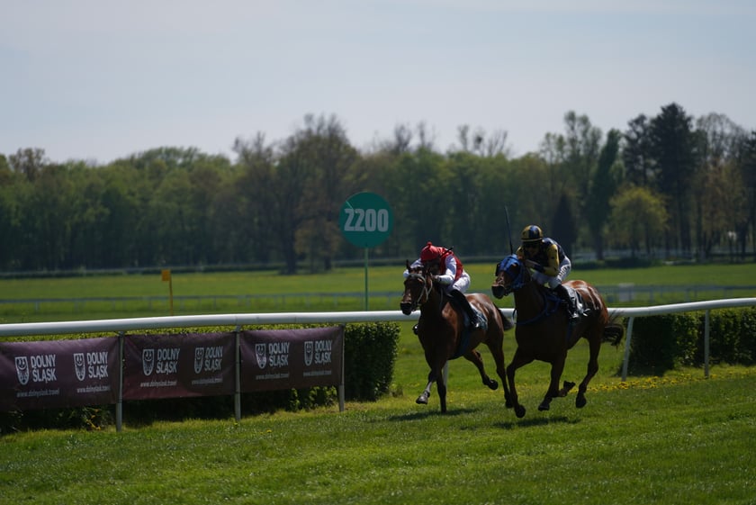 Majówka na Partynicach 2023