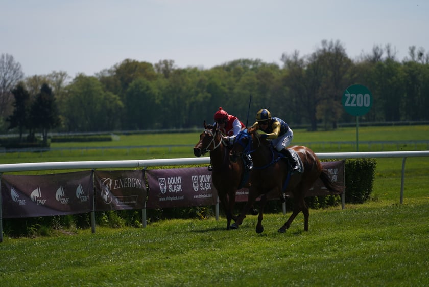 Majówka na Partynicach 2023