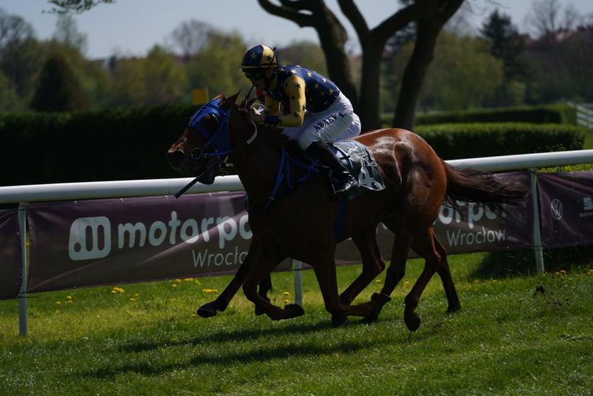 Majówka na Partynicach 2023