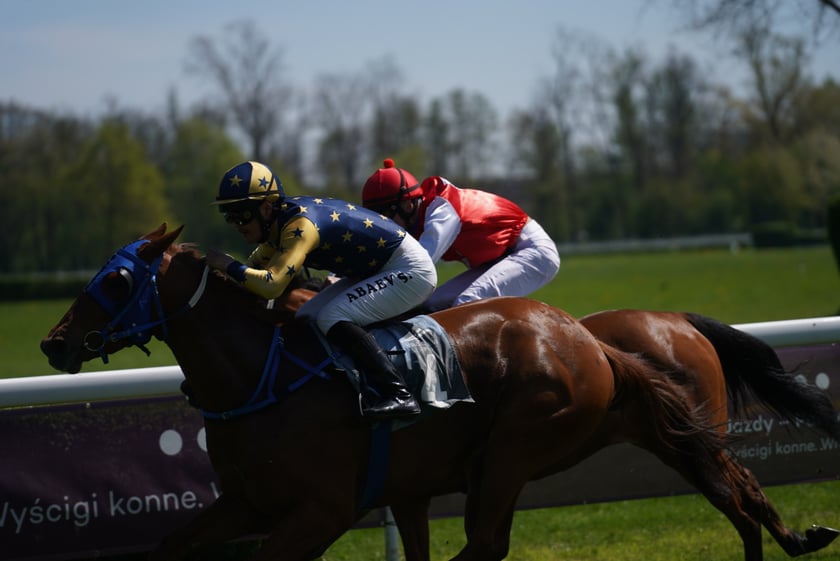 Majówka na Partynicach 2023