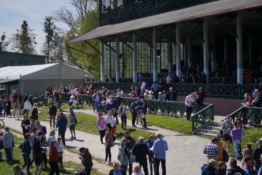 Majówka na Partynicach 2023