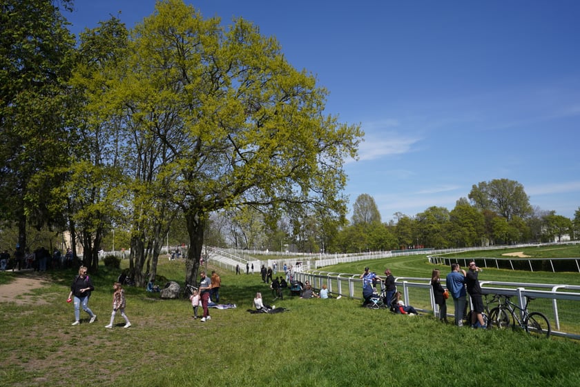 Majówka na Partynicach 2023