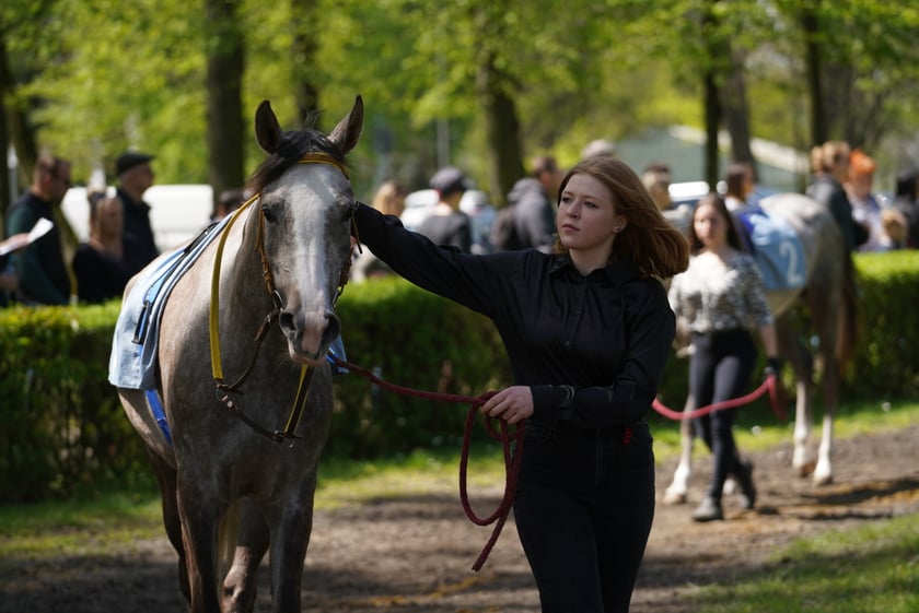 Majówka na Partynicach 2023