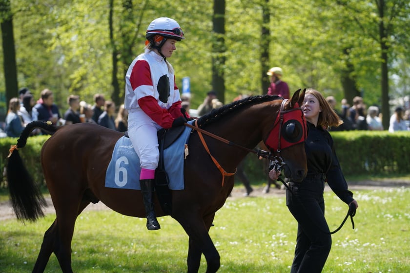 Majówka na Partynicach 2023