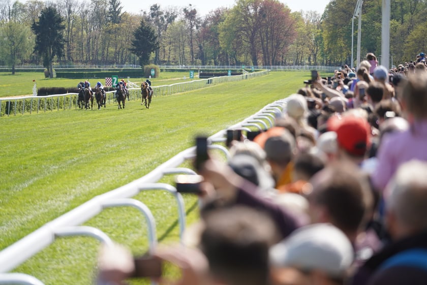 Majówka na Partynicach 2023