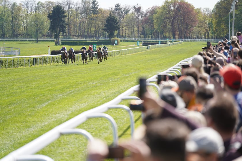 Majówka na Partynicach 2023