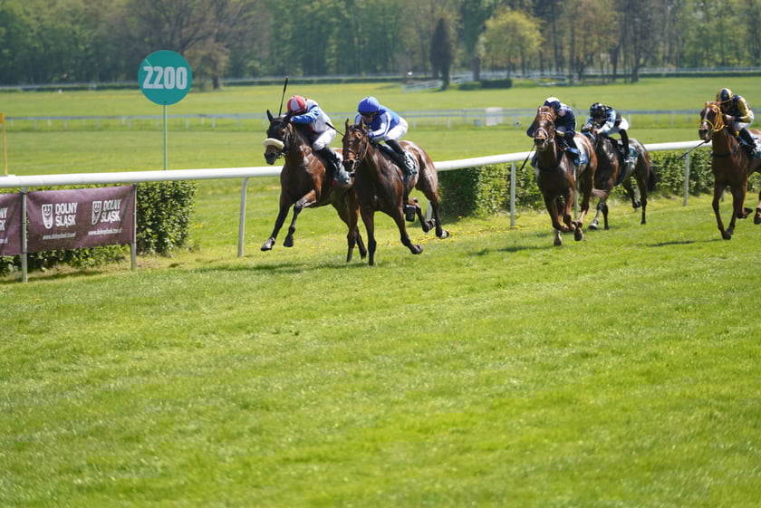 Majówka na Partynicach 2023