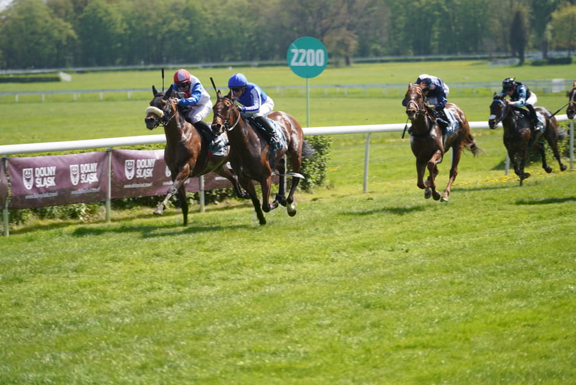 Majówka na Partynicach 2023