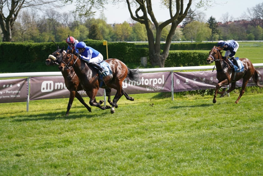 Majówka na Partynicach 2023