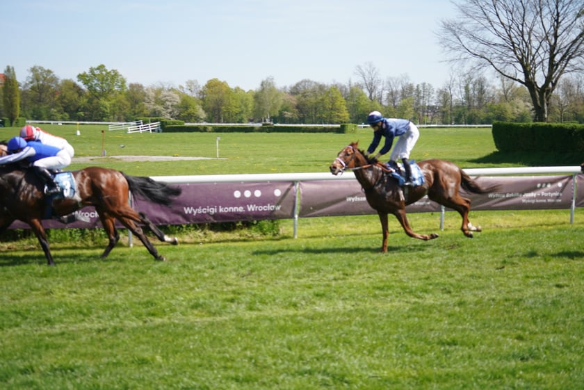 Majówka na Partynicach 2023
