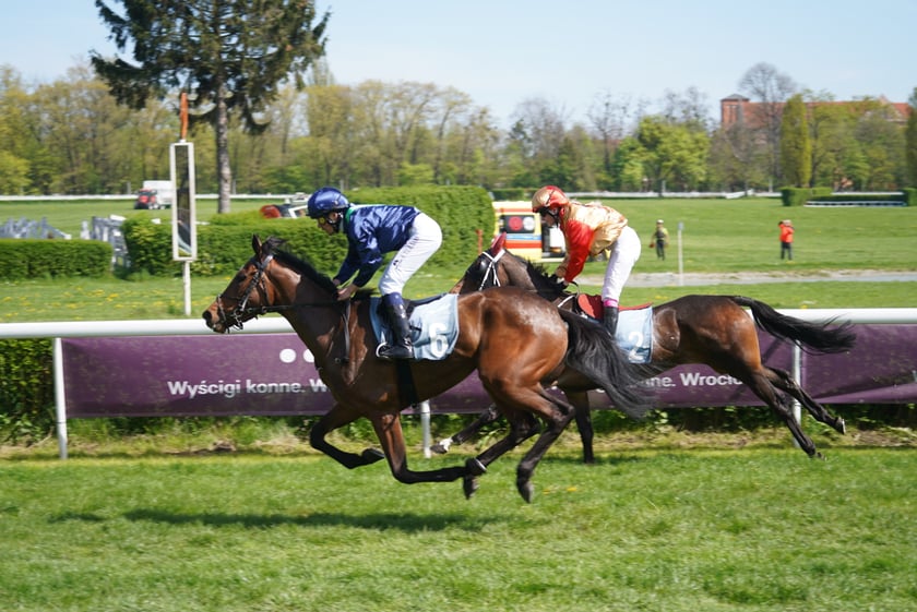 Majówka na Partynicach 2023