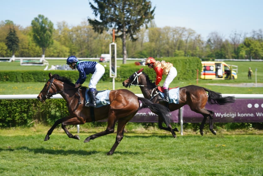 Majówka na Partynicach 2023