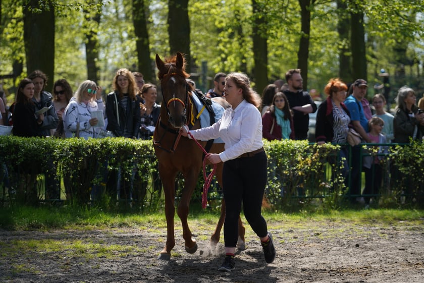 Majówka na Partynicach 2023