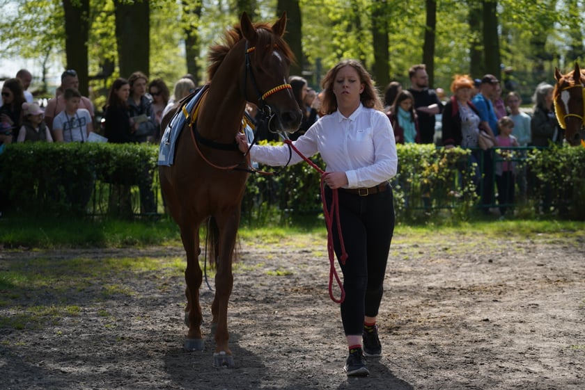 Majówka na Partynicach 2023