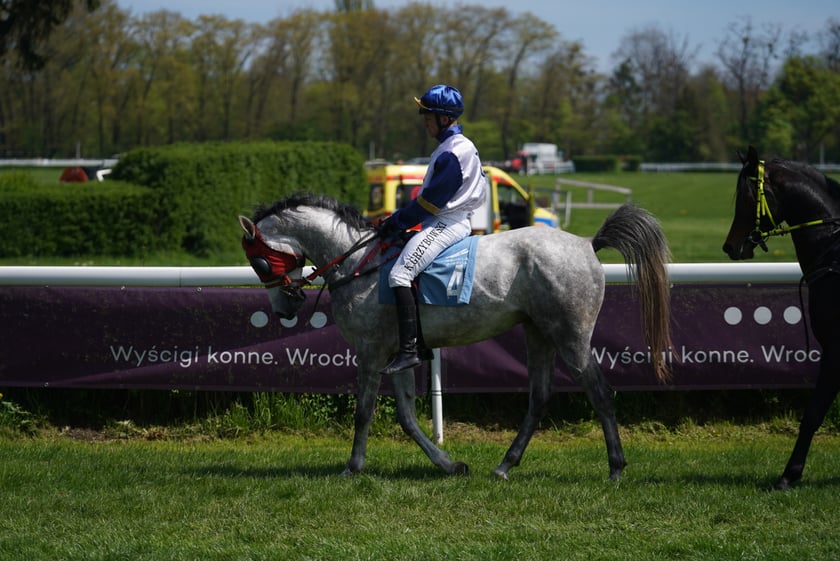 Majówka na Partynicach 2023