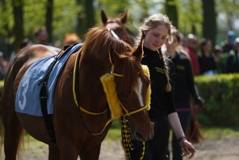 Majówka na Partynicach 2023