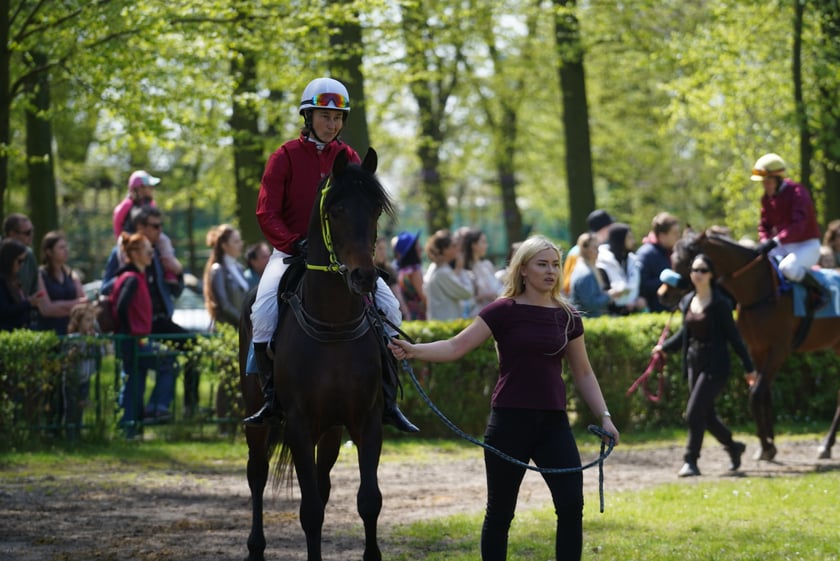 Majówka na Partynicach 2023