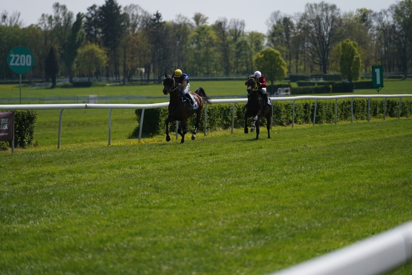 Majówka na Partynicach 2023