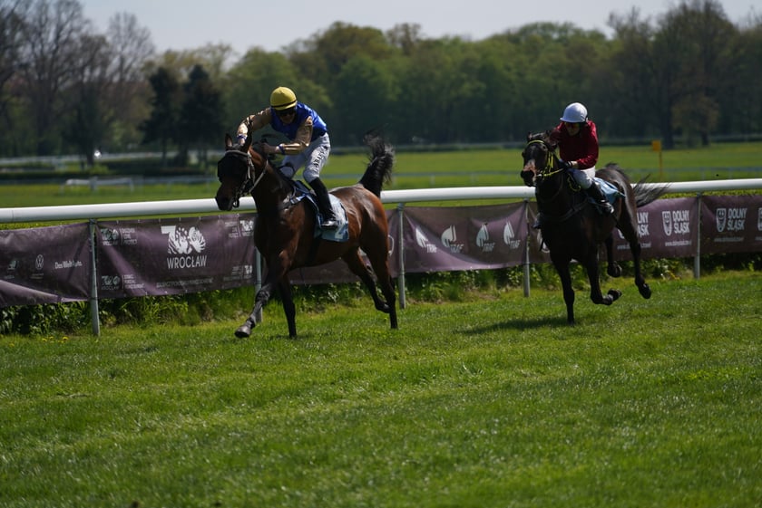 Majówka na Partynicach 2023