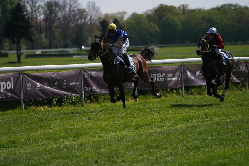 Majówka na Partynicach 2023