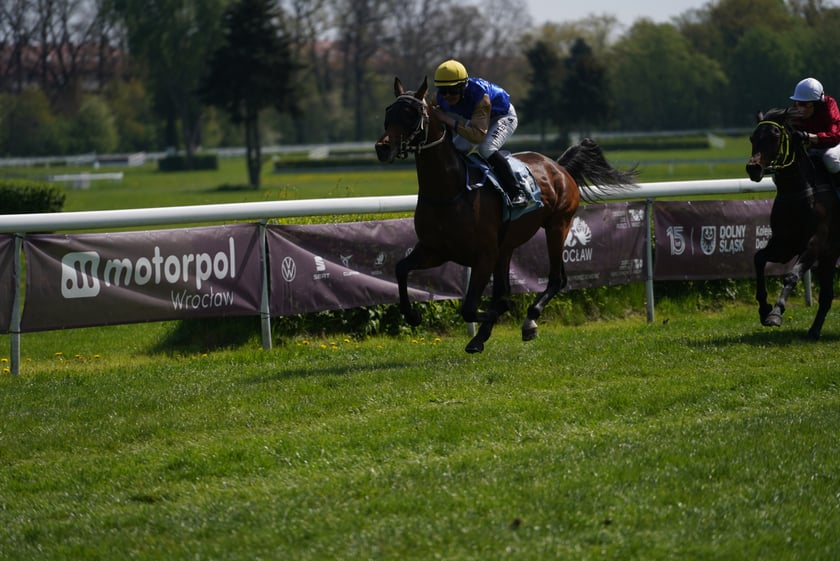 Majówka na Partynicach 2023