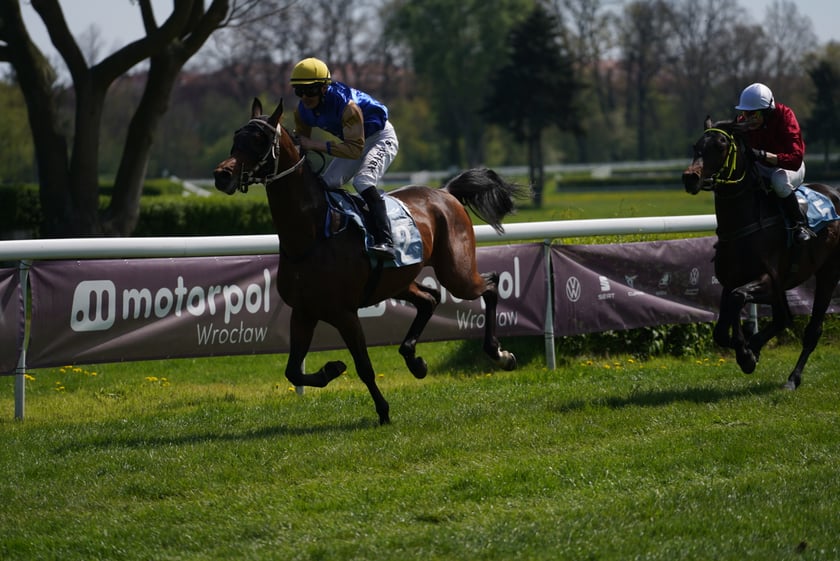 Majówka na Partynicach 2023