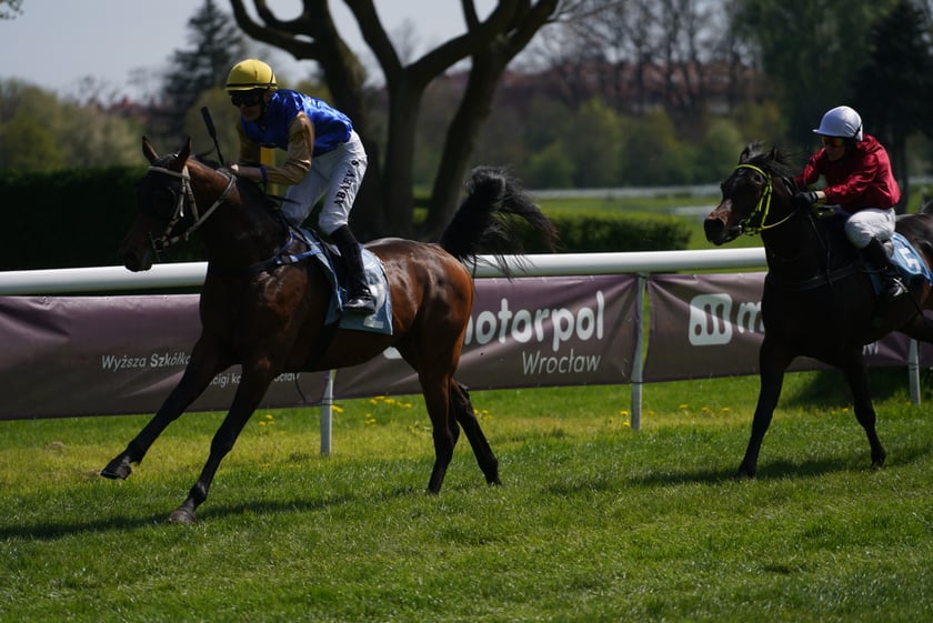 Majówka na Partynicach 2023