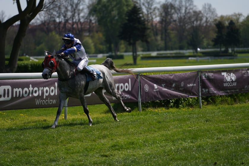 Majówka na Partynicach 2023