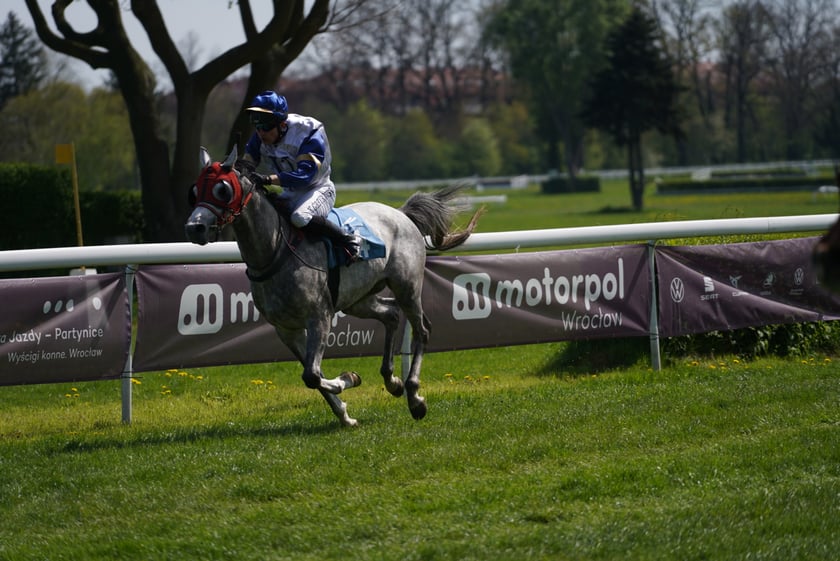 Majówka na Partynicach 2023