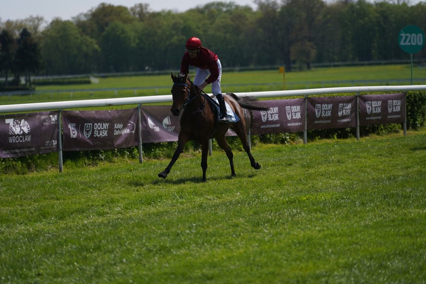 Majówka na Partynicach 2023