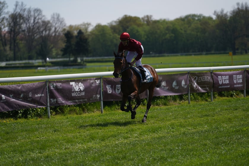 Majówka na Partynicach 2023