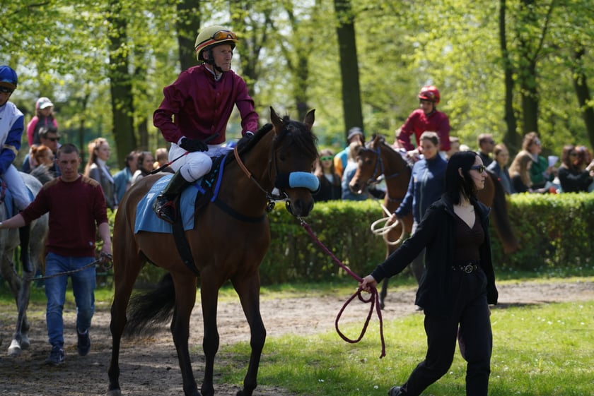 Majówka na Partynicach 2023