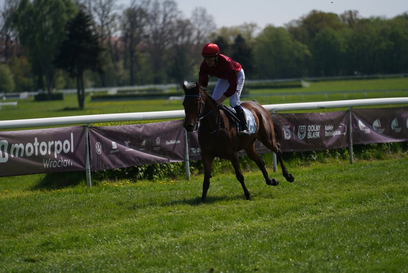 Majówka na Partynicach 2023