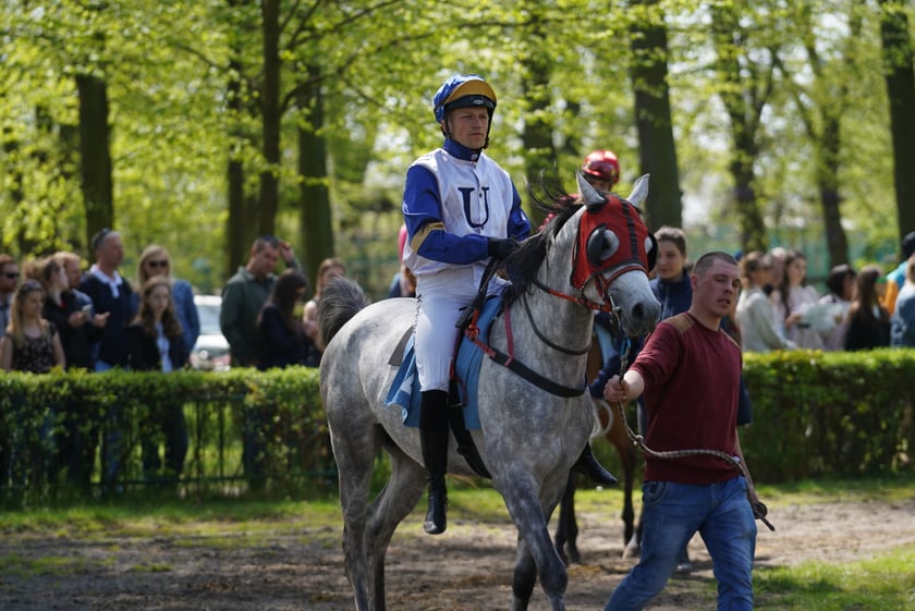 Majówka na Partynicach 2023