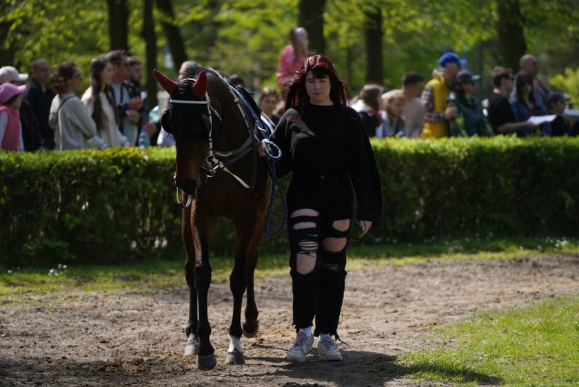 Majówka na Partynicach 2023