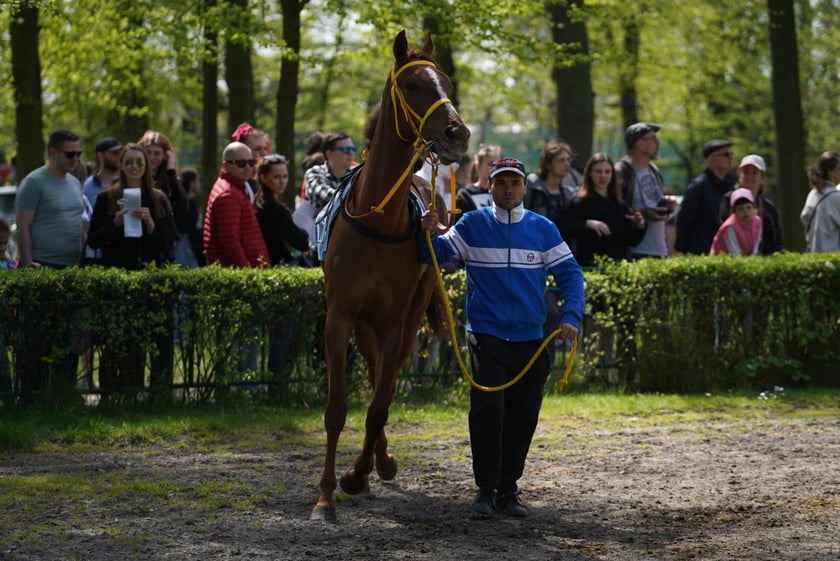 Majówka na Partynicach 2023