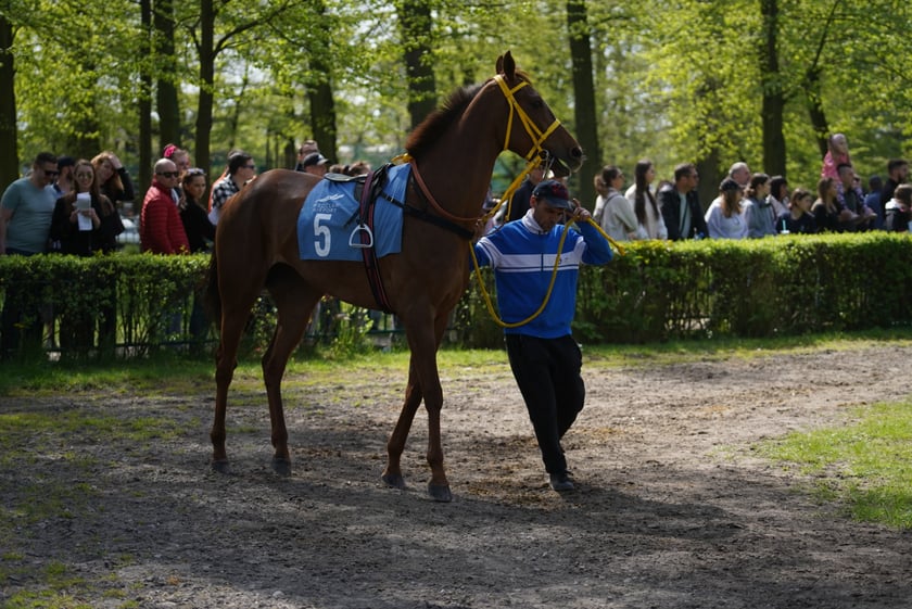 Majówka na Partynicach 2023