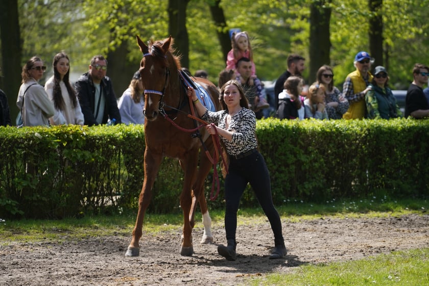 Majówka na Partynicach 2023