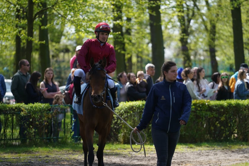 Majówka na Partynicach 2023