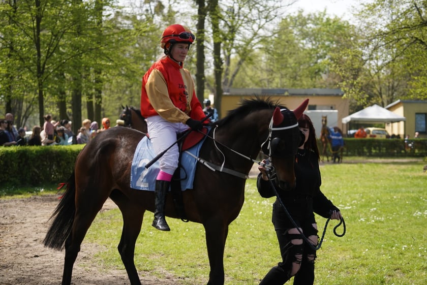 Majówka na Partynicach 2023