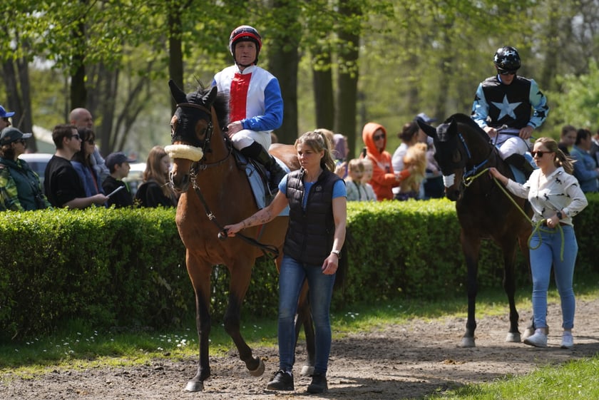 Majówka na Partynicach 2023